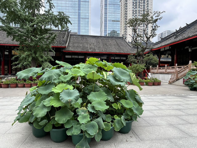 🛕 Dashengci Temple – Serenity in the Heart of Chengdu
