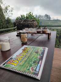 A Sip of Bali’s Soul: Tea & Coffee Tasting at the Plantation