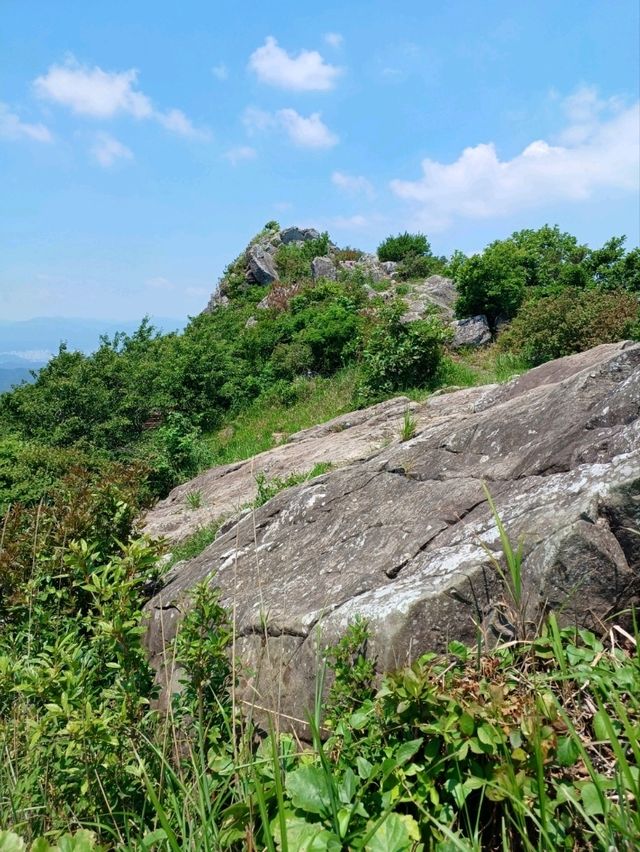 숲길 따라 만나는 고요함