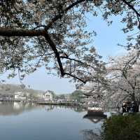 🌅 West Lake (西湖): A Grand Stage of Nature and Culture