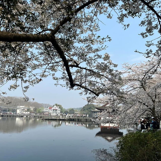 🌅 West Lake (西湖): A Grand Stage of Nature and Culture