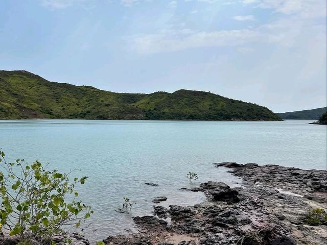Plover Cove Country Park, Forest Feels and Total Escape Mode