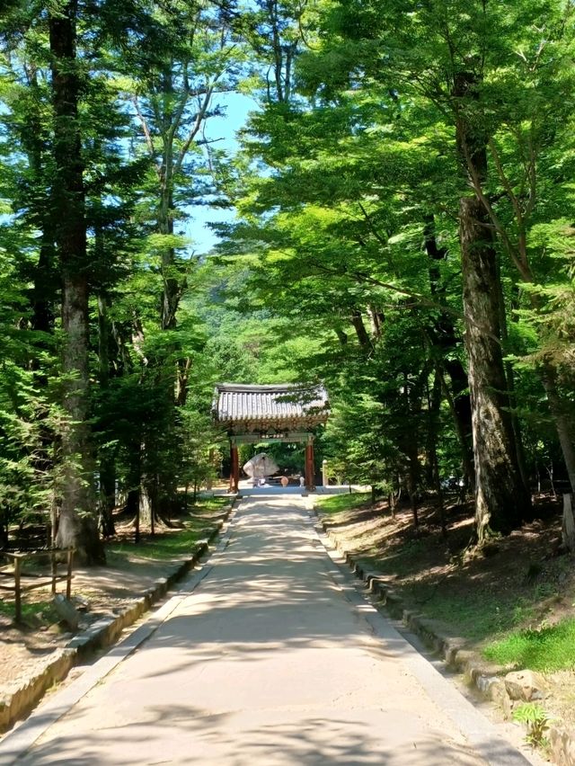 마음의 산책길