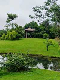 Prince Bay Park After Rain – Hangzhou’s Misty Wonderland