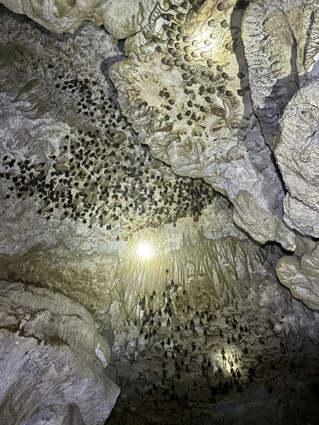 Mystical Cave Pool in Siargao Mystical Cave Pool in Siargao