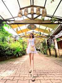 Bee Farm My Sweet Escape in Bohol 🐝
