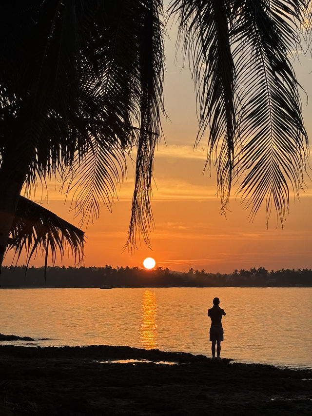 Want a perfect sunset shot? 
