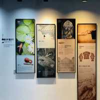 A Captivating Dive into Jeju's Marine Biodiversity