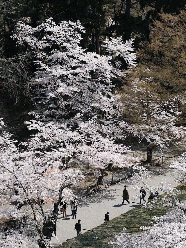 🏞️Fukushima Hidden Gem – Nature & Nostalgia on a Budget!