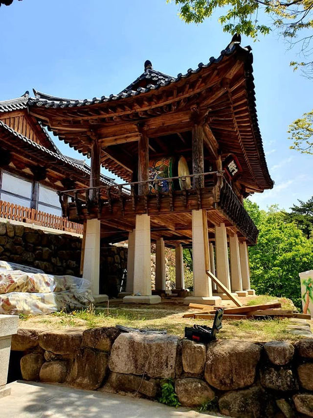 韓國大邱 清道柿子酒隧道 桐華寺