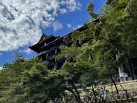 毎年真夏の清水寺を涼しく彩る風鈴まつりが今年も開催🎐🏮👘✨