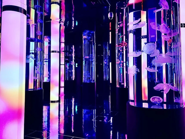 沖繩🇯🇵 DMM Kariyushi水族館
