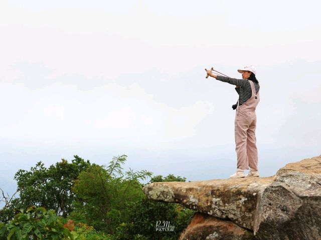 ผาสุดแผ่นดิน ที่เที่ยวชัยภูมิ