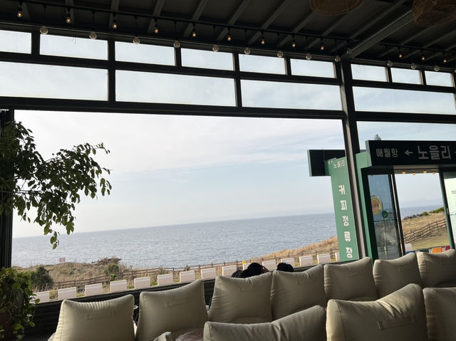 제주도 여행의 즐거움을 함께해요