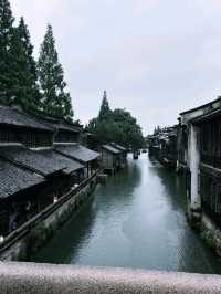 Bridges, Boats, and Ancient Beauty: The World of Wuzhen