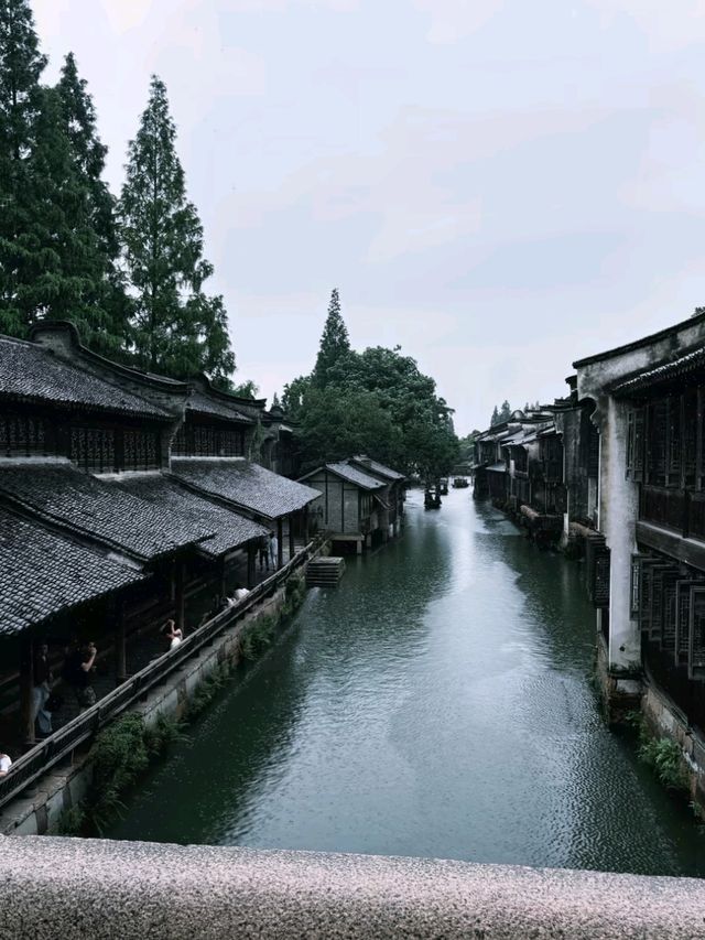 Bridges, Boats, and Ancient Beauty: The World of Wuzhen
