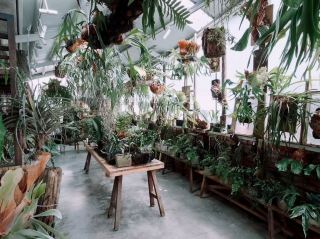 Experience the Unique Atmosphere of Air Library