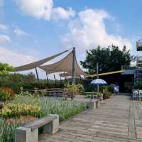 Barn House สิงห์ปาร์ค เชียงราย