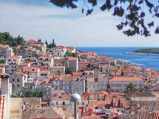 🇭🇷 흐바르(Havr) 섬에서 즐긴 여유 🏝️