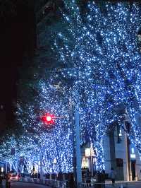 🎄Roppongi Hills Christmas Night Trip 🎅✨