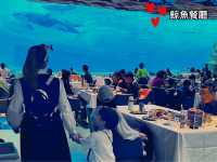 【⚠️最後機會⚠️】長隆飛船樂園急召地球守護者