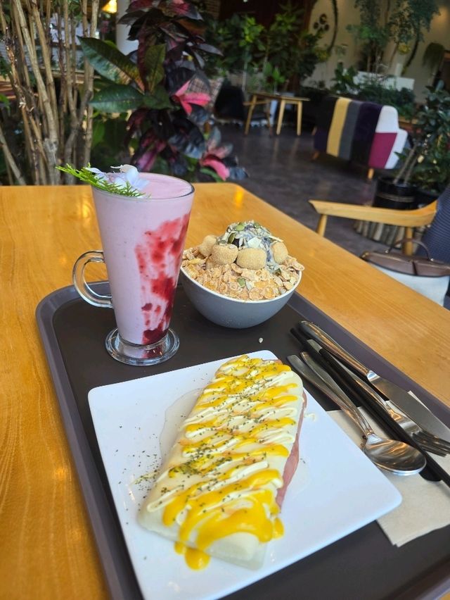 담양 아리에뜰 카페 방문 🌿☕