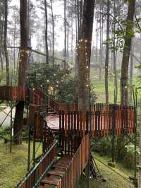 A Thrilling Sensation Crossing the Wood Bridge in Orchid Forest Cikole