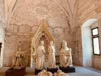 A Solo Journey Through Time: Exploring the Palais des Papes in Avignon