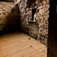 Mammoth Cave National Park (KY)