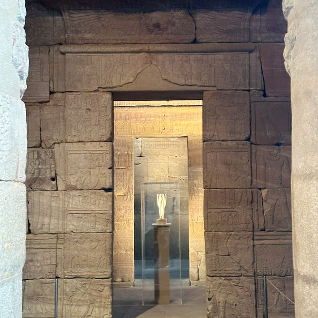 紐約美國自然歷史博物館：自然奇蹟的百科殿堂