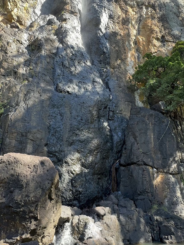 Purling Brook Falls – A Cascading Wonder of Springbrook National Park