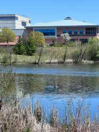 L’Amoreaux North Park – A Peaceful Urban Escape in Toronto