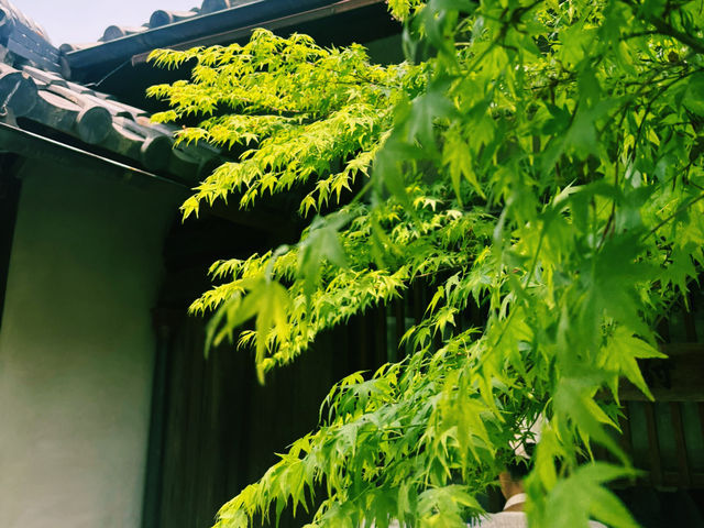 無鄰庵：綠意中的靜謐時光 🍃✨