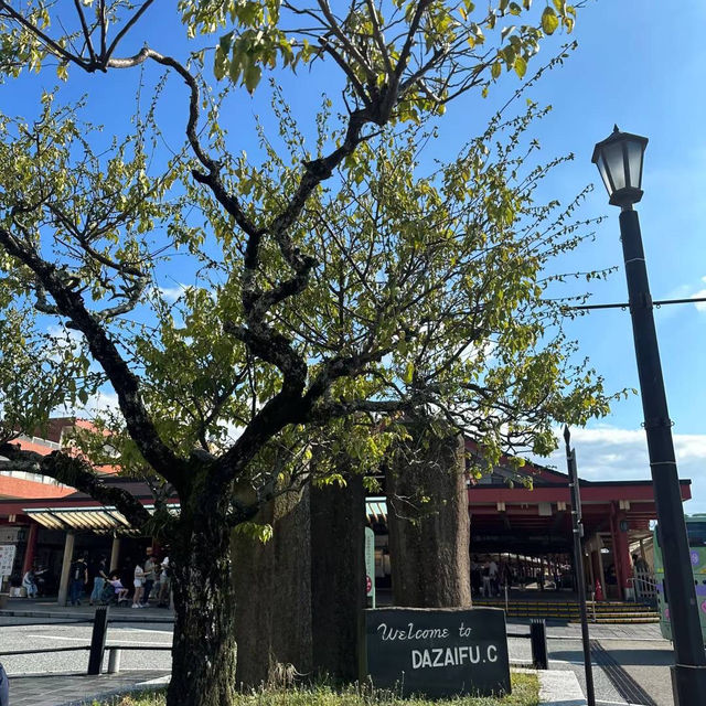 Dazaifu ดาไซฟุ