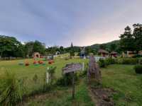 🦙 Alpaca Hill Suan Phueng: A Fluffy Wonderland