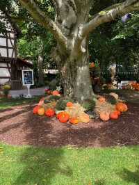 Europa-Park “Halloween is coming”