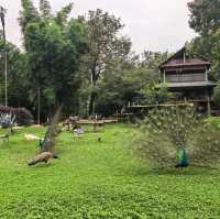 雲南昆明親子必去玩樂景點🏮昆明動物園