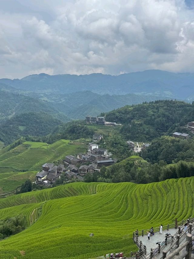 The Dragon’s Spine: Carving Beauty from the Land
