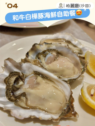 ⏳「排隊也值得！沙田柏麗廳的自助餐誘惑」✨