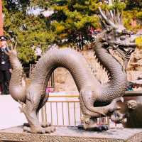 หยุดเวลาไว้ที่พระราชวังฤดูร้อน ปักกิ่ง