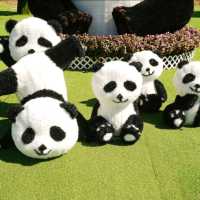 코리아플라워파크, 태안 바닷가에 핀 꽃의 향연 🌼