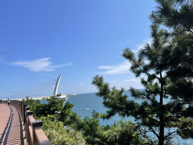 Busan Itinerary Guide🌊   Busan Itinerary Guide🌊