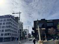 5 Days in Christchurch
