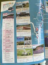 ✨One day trip in Furano แบบไม่เช่ารถ✨