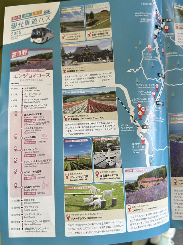 ✨One day trip in Furano แบบไม่เช่ารถ✨