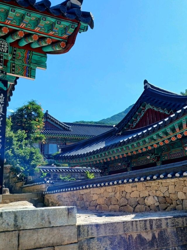 자연의 품속에서 고요히, 화엄사