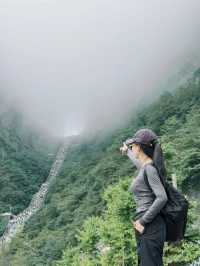 Misty Mountain Thrills⛰️
