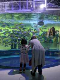 【神戸の水族館】水族館の年パス買うならココでしょ！