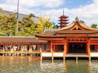 Timeless Miyajima🌊
