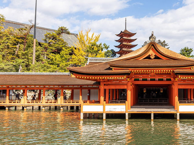 Timeless Miyajima🌊